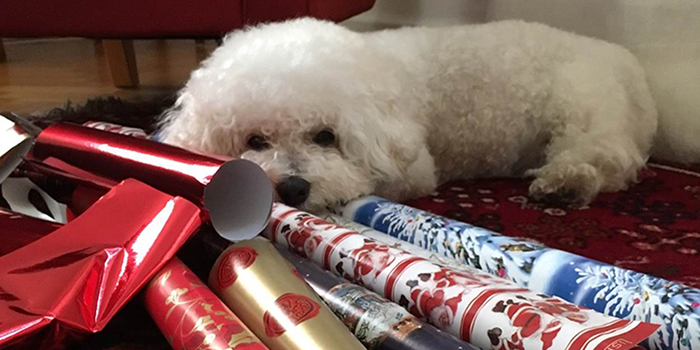 Julklapp till alla valpsäljare