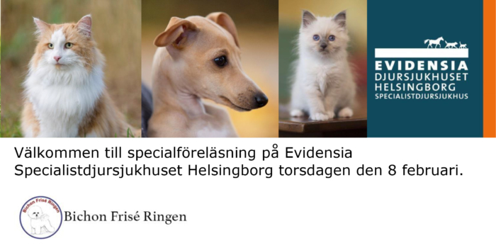 Välkommen till specialföreläsning