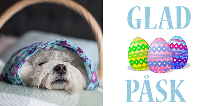 Glad påsk