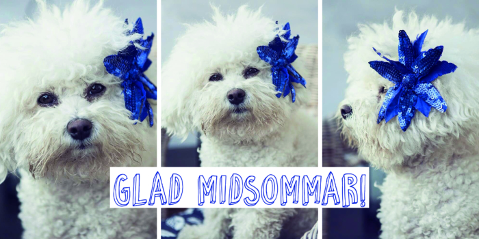 Glad midsommar!